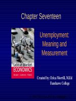 Lecture Labour market economics: Chapter 17 - Dwayne Benjamin, Morley Gunderson, Craig Riddell