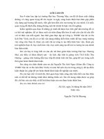 luận văn khách sạn du lịch giải pháp marketing thu hút khách du lịch nội địa của công ty TNHH vận tải và du lich đức vinh, hà nội 