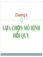 Bài giảng Kinh tế lượng: Chương 8 - Trần Thị Tuấn Anh (2017)