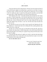 luận văn khách sạn du lịch giải pháp marketing mix nhằm phát triển thị trƣờng của công ty cổ phần đầu tƣ mở   du lịch việt nam 