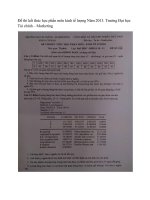 Đề thi kết thúc học phần Kinh tế lượng: Đề 06