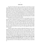 luận văn marketing nâng cao giá trị cảm nhận thƣơng hiệu biomedic của công ty cổ phần vật tƣ khoa học biomedic 