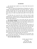 luận văn hệ thống thông tin kinh tế phân tích thiết kế hệ thống thông tin marketing cho công ty cổ phần công nghệ quang điện tử ánh sáng thời 