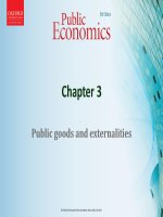 Lecture Public economics (5th edition) - Chapter 3: Public goods and externalities