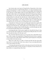 luận văn hệ thống thông tin kinh tế phát triển hệ thống quản lý bán hàng cho công ty cổ phần và thƣơng mại MQ việt nam 