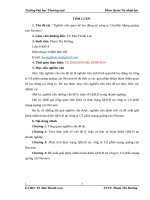 luận văn quản trị nhân lực nghiên cứu quan hệ lao động tại công ty cổ phần mạng quảng cáo novaon 