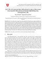Các yếu tố ảnh hưởng đến hành vi mua sắm xanh của người tiêu dùng tại thành phố Đông Hà, tỉnh Quảng Trị