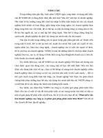 luận văn quản trị kinh doanh phát triển văn hoá doanh nghiệp của công ty cổ phần giải pháp phần mềm hoà bình 