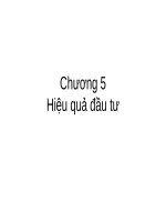 Bài giảng Kinh tế đầu tư - Chương 5: Hiệu quả đầu tư