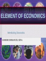 Lecture Element of economics - Chapter 1: Introducing economics