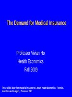Lecture Health economics - Chapter 6: The demand for medical insurance