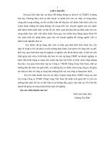 luận văn hệ thống thông tin kinh tế THỰC TRẠNG HOÀN THIỆN các DỊCH vụ hỗ TRỢ KHÁCH HÀNG TRỰC TUYẾN tại CÔNG TY TNHH TIẾNG VANG VIỆT NAM 