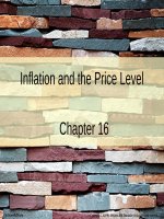 Lecture Principles of economics (Asia Global Edition) - Chapter 16