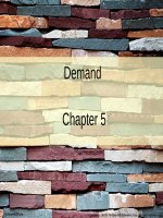 Lecture Principles of economics (Asia Global Edition) - Chapter 5