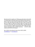 Hiện trạng nguồn nhân lực dân tộc thiểu số và khuyến nghị các giải pháp nhằm phát triển nguồn nhân lực vùng dân tộc thiểu số và miền núi