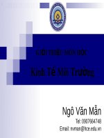 Bài giảng Kinh tế môi trường: Chương mở đầu