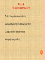 Lecture Managerial economics - Chapter 4: Four possible markets