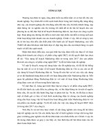 luận văn hệ thống thông tin kinh tế xây dựng kế hoạch marketing điện tử trong năm 2017 cho sản phẩm bizweb của công ty cổ phần công nghệ DKT 