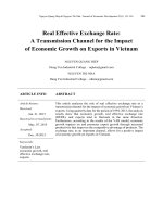 Real effective exchange rate: A transmission channel for the impact of economic growth on exports in Vietnam