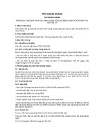 Tiêu chuẩn ngành 10 TCN 811:2006