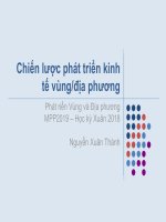 Bài giảng Phát triển vùng và địa phương (2019): Bài 8 - Nguyễn Xuân Thành
