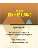 Bài giảng Kinh tế lượng: Giới thiệu môn học - Nguyễn Ngọc Lam (2017)