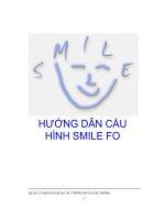 SMILE FO Config guide VN
