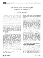 Đặc điểm hệ thống kiểm soát nội bộ trong các tập đoàn kinh tế