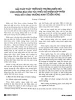 Giải pháp phát triển môi trường miền núi vùng đồng bào dân tộc thiểu số nhằm góp phần thúc đẩy tăng trưởng kinh tế bền vững