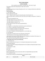 Tiêu chuẩn ngành 10 TCN 783:2006