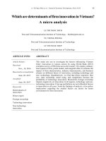 Which are determinants of firm innovation in Vietnam a micro analysis