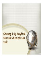 Bài giảng Kinh tế học: Chương 4 - Trương Thiên Hòa