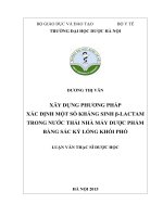 XÂY DỰNG PHƯƠNG PHÁP XÁC ĐỊNH MỘT SỐ KHÁNG SINH β-LACTAM TRONG NƯỚC THẢI NHÀ MÁY DƯỢC PHẨM BẰNG SẮC KÝ LỎNG KHỐI PHỔ