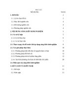 skkn phương pháp tính tích phân của một số hàm ẩn