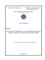 luận văn thạc sĩ tuyển chọn và nghiên cứu các đặc tính sinh học của một số vi sinh vật nhằm sản xuất phân vi sinh 