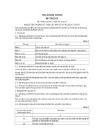 Tiêu chuẩn ngành 58 TCN 25:1974