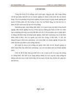 Thực trạng chiến lược marketing mix nhằm mở rộng thị trường cho công tycổ phần xuân tiến hoàng