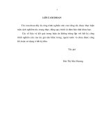 Thực trạng chăm sóc sức khỏe sinh sản của phụ nữ người dân tộc và hiệu quả hoạt động của cô đỡ thôn bản tại ninh thuận 