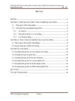 Tiểu luận kinh tế môi trường nghiên cứu hiện trạng ô nhiễm môi trường nước tại khu công nghiệp quang minh Hà Nội