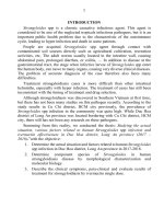 Nghiên cứu thực trạng, một số yếu tố liên quan đến nhiễm giun lươn strongyloides spp và kết quả điều trị bằng ivermectin tại huyện đức hoà, tỉnh long an (2017 – 2018) tt tếng 