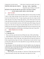 BÁO cáo CHUYÊN đề ôn tập TS 10 năm 2019 (1)