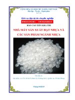 Thuyết minh dự án đầu tư Nhà máy sản xuất hạt nhựa và các sản phẩm ngành nhựa tại Hải Phòng | lapduandautu.vn  0903034381