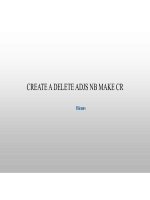 Create a delete ADJS neighbor and make CR