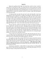 TIỂU LUẬN NÂNG CAO KỸ NĂNG LÀM VIỆC NHÓM CHO ĐỘI NGŨ GIÁO VIÊN CỦA TRƯỜNG TIỂU HỌC LONG THẠNH, THỦ THỪA, LONG AN.