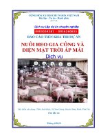 Thuyết minh dự án đầu tư Nuôi heo gia công và điện mặt trời áp mái tại Phú Yên| lapduandautu.vn  0903034381