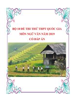 Bộ 10 đề thi có đáp án môn Ngữ Văn THPTQG năm 2019