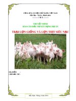 Thuyết minh báo cáo đầu tư xây dựng dự án: Trại lợn giống và lợn thịt siêu nạc