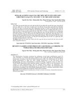 Tổng quan phân loại ung thư biểu mô tuyến tiền liệt theo phân loại của Tổ chức y tế thế giới năm 2016