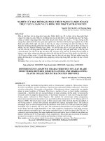 Nghiên cứu đặc điểm giải phẫu thích nghi của một số loài thực vật ưa sáng và ưa bóng thu thập tại Thái Nguyên