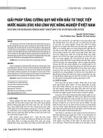 Giải pháp tăng cường quy mô vốn đầu tư trực tiếp nước ngoài (FDI) vào lĩnh vực nông nghiệp ở Việt Nam